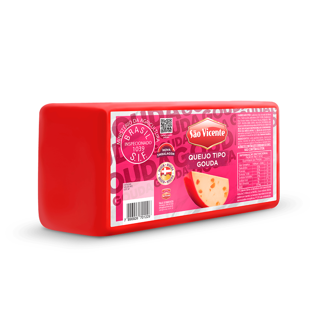 Queijo tipo Gouda